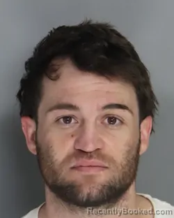 Mugshot of BRANDON HADDEN