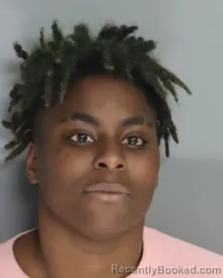 Mugshot of TISHA JOHNSON