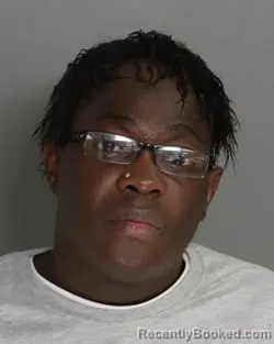 Mugshot of KENNETH FANNINGS