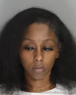 Mugshot of MARIAH BURNETT