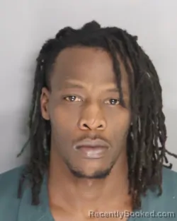 Mugshot of DEONTRE BOOKER