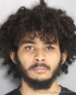 Mugshot of DEZMOND BRYANT