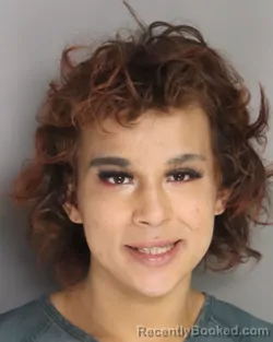 Mugshot of RAFAEL MENDOZA