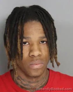 Mugshot of JAHIEM TERRY