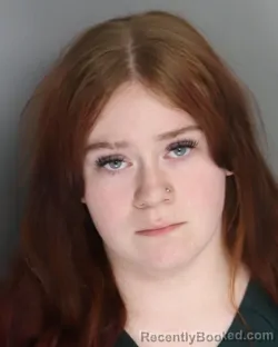 Mugshot of ALLISON WILKEY