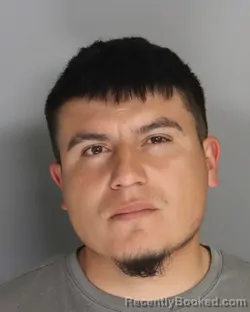 Mugshot of MARTIN SOTO SILVA