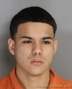 Mugshot of ANNER LEMUS-MONTES