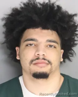Mugshot of BRANDON BUCKMON