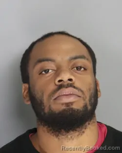 Mugshot of BRYSON DAVIS