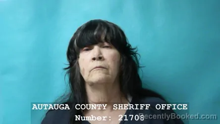 Mugshot of RUTH ELAINE OWENS WILSON