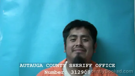 Mugshot of AMAYCO BARRERA