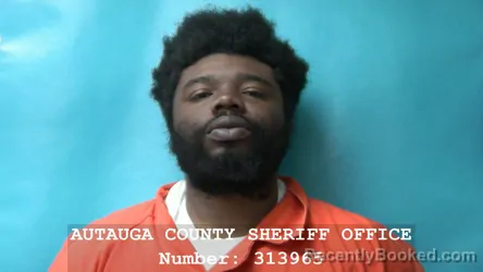 Mugshot of GEORDERIUS TIJUAN WRIGHT