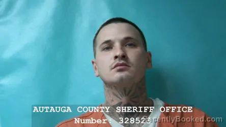 Mugshot of MICHAEL DILLON HERRON