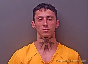 Mugshot of MICHAEL VERTREESE LEDDICK