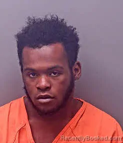 Mugshot of NIAMEY KONTE PACKER