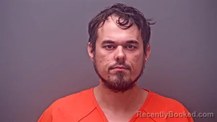 Mugshot of JOHN AUSTIN ELKINS