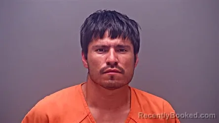 Mugshot of JHONATAN VENEGAS