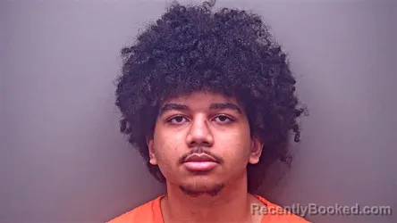 Mugshot of LOGAN COY CARPENTER