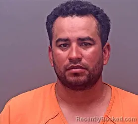 Mugshot of DAVID TORRES-PARRA