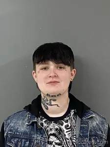 Booking photo from Blount County, Alabama