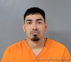 Booking photo from Blount County, Alabama