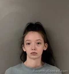 Booking photo from Blount County, Alabama