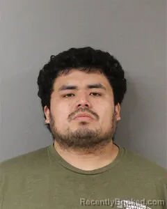 Mugshot of MAURICIO SILVA
