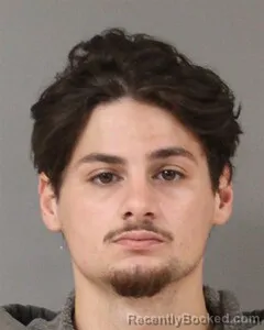 Mugshot of SHAWN NATION