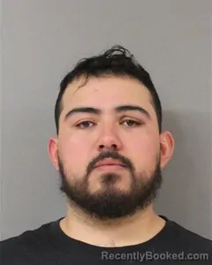 Mugshot of LUIS GARCIA-NAVA