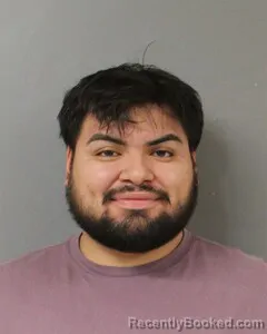 Mugshot of OSCAR RIOS