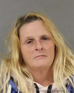 Mugshot of CHERYL WHYDE