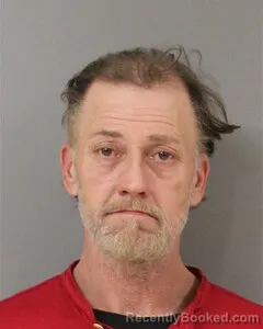 Mugshot of JAMES NELSON