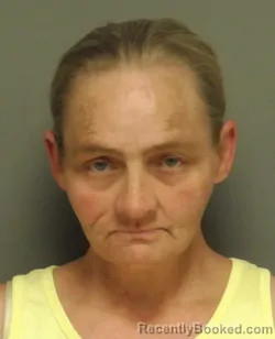 Mugshot of Teresa Culver