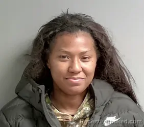 Mugshot of Briana Kidd