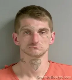 Mugshot of Bradley Newell