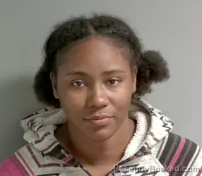 Mugshot of Breanna Rogers