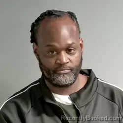 Mugshot of Demetris Stripling