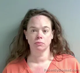 Mugshot of Melissa Vermillion