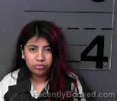 Mugshot of Celia Gomez Garcia