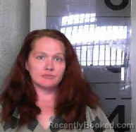 Mugshot of ELIZABETH ANN JOHNSON