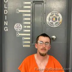 Mugshot of MICHAEL COCHREN