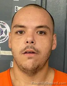 Mugshot of JUSTIN DAVIS