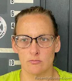 Mugshot of BRIDGETT BROOKS
