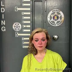 Mugshot of ANSLEY WILKIN