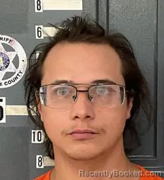 Mugshot of ROBERT ROBERTSON