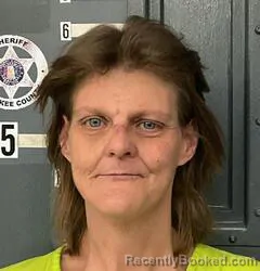 Mugshot of APRIL HOOPER