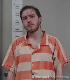 Mugshot of CHRISTOPHER WILLIS