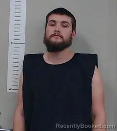 Mugshot of DALTON VAN LEER