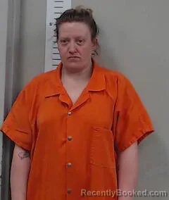 Mugshot of KRISTON COOK