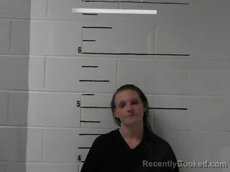 Mugshot of Melissa Ann Langley